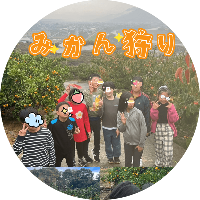 11月
